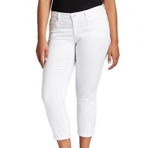 Eileen Fisher slim ankle jean Sz 20W Org 198